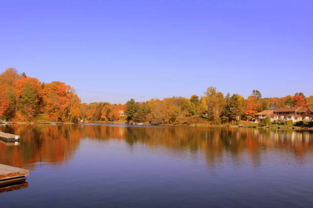 istock Yellowed leaves of trees and houses 1189170913