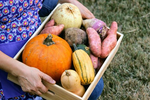 istock Organic, Locally Grown Farm Share Box, Community Supported Agriculture CSA box 1189170964