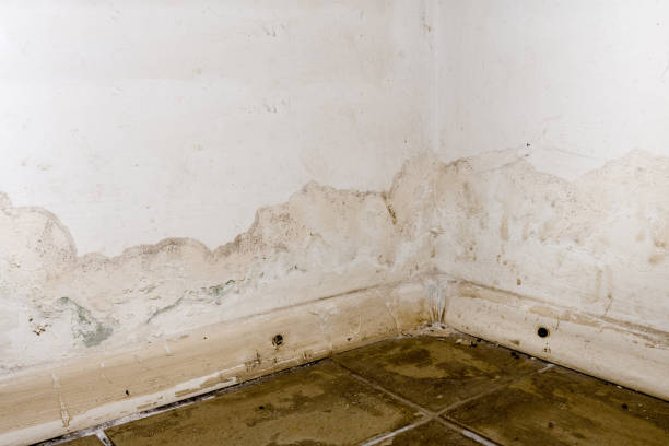 istock Flooding rainwater or floor heating systems, causing damage, peeling paint and mildew. 1189172245
