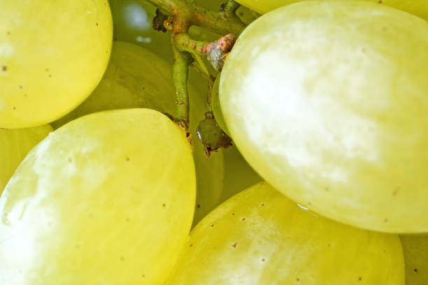 Cluster of yellow grape fruits closeup photo