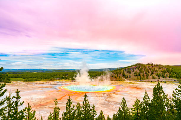 옐로스톤 그랜드 프리즘 - midway geyser basin 뉴스 사진 이미지