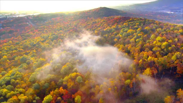 Photo of Colorful Autumn mountainside at sunrise, fiery Fall colors