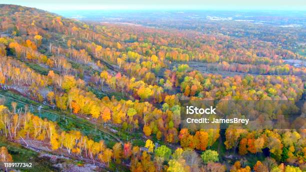 Colorful Autumn Mountainside At Sunrise Fiery Fall Colors Stock Photo - Download Image Now