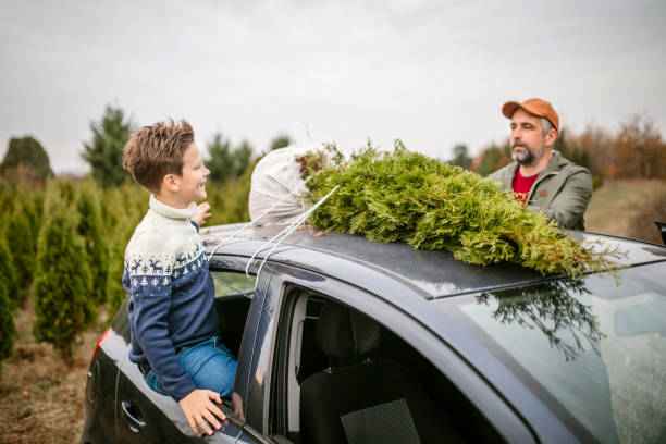 istock Carrying christmass tree to the home 1189178696
