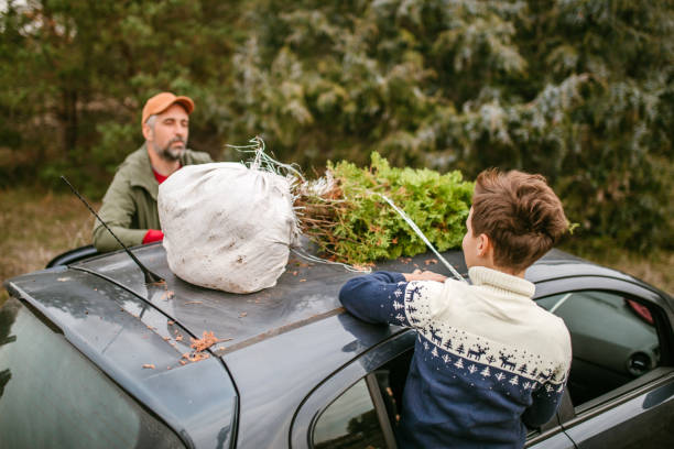 istock Carrying christmass tree to the home 1189178837
