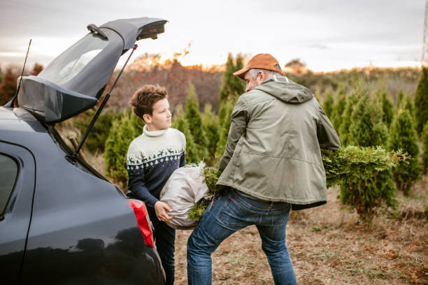 istock Father and son picked up christmass tree from u-cut farm 1189179458