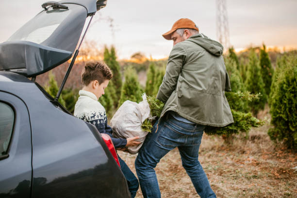 istock Father and son picked up christmass tree from u-cut farm 1189179512