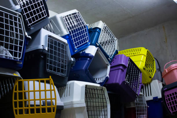 istock Animal transport cages 1189180732