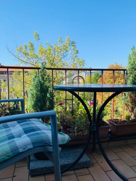 istock Urban garden in the tree canopy 1189181506
