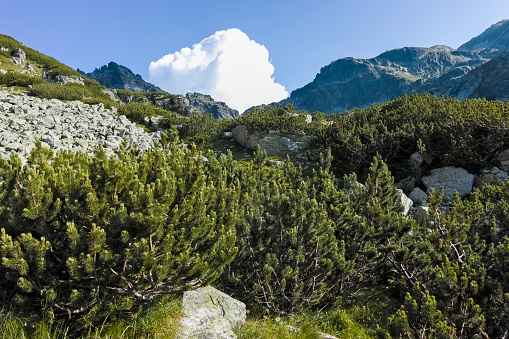 Aerial view of Andalucia mountains, Spain.