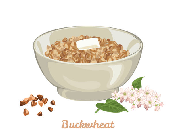 Buckwheat porridge with slice of butter in bowl isolated on white background. Vector illustration of gluten-free groats and buckwheat flowers in cartoon simple flat style. Healthy food concept. Buckwheat porridge with slice of butter in bowl isolated on white background. Vector illustration of gluten-free groats and buckwheat flowers in cartoon simple flat style. Healthy food concept. buckwheat stock illustrations