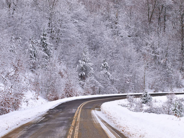 istock Empty asphalt road in snow covered spruce forest. 1189186563