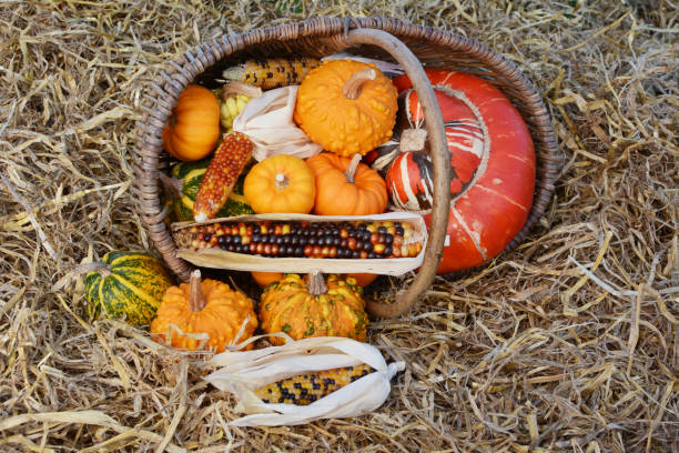 istock Fall selection of ornamental gourds and corn spilling from basket 1189189533