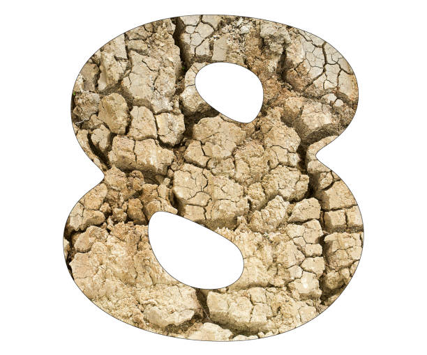 Number 8 - Arid land detail