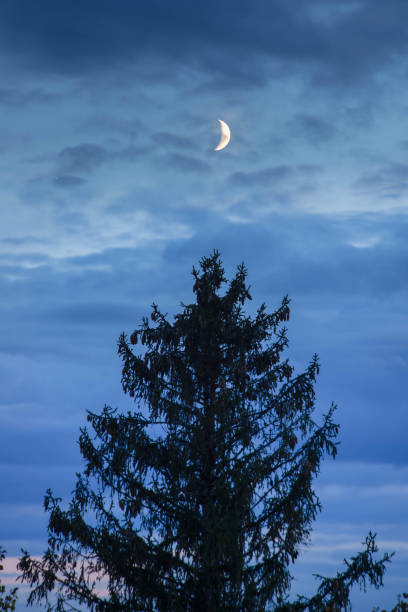 istock view of night sky with new moon. 1189192158