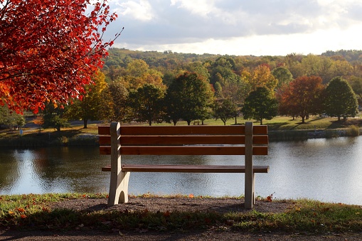 A view from behind the empty park bench overlooking the lake in the park on a sunny autumn morning.