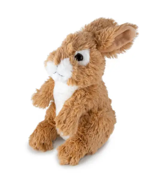 Photo of Cute rabbit doll isolated on white background with shadow. Playful brown bunny sitting on white underlay. Hare plush stuffed puppet toy for children. Plaything for kids.