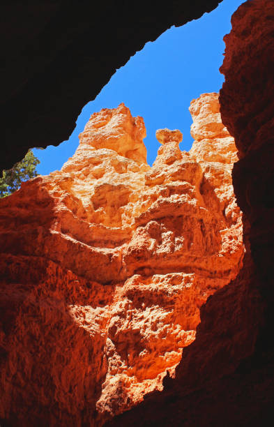istock Wall street of Bryce Canyon 1189192665