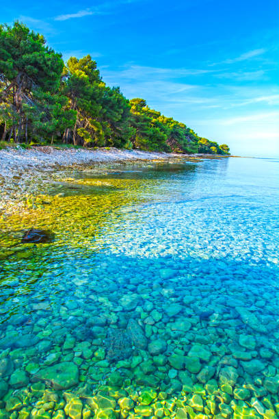 istock Beach in Croatia, Adriatic Sea 1189193488
