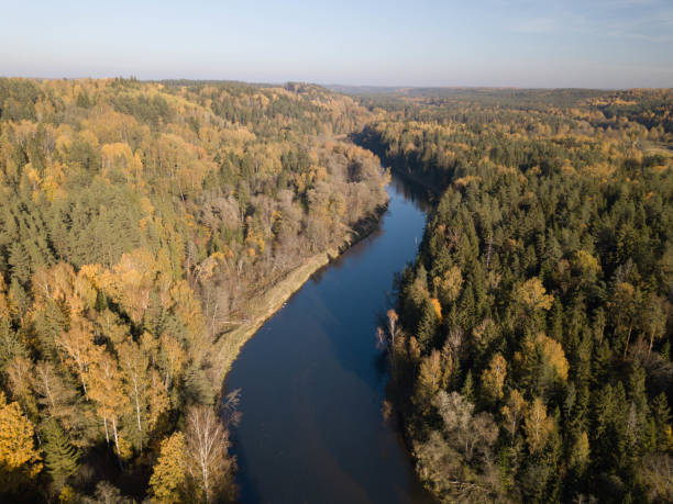 istock Latvian autumn nature. VIew from the top. Forest and river. 1189194075