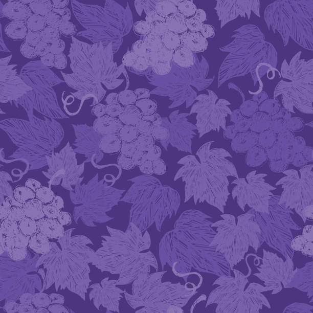 ilustrações de stock, clip art, desenhos animados e ícones de vector faded texture purple monochrome grape vine illustration with leaves hand drawn repeat pattern. perfect for fabric, scrapbooking and wallpaper projects. - berry vine