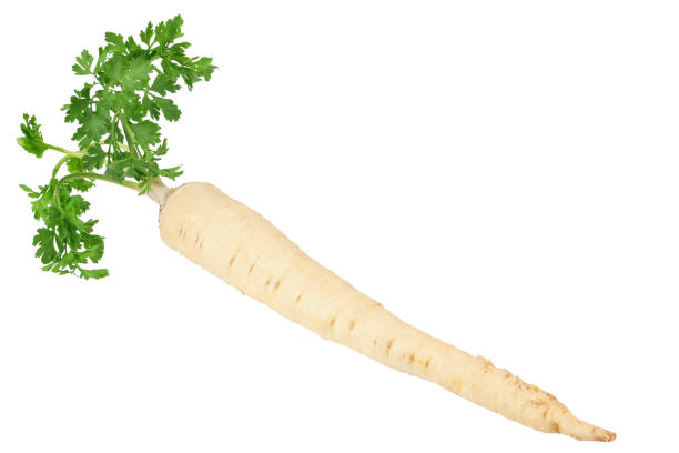 istock fresh parsley root isolated on white background 1189198036