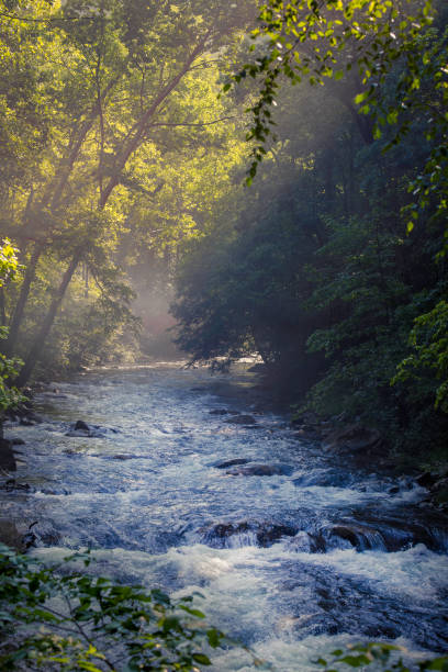 istock Sun and fog on a mountain stream 1189199084