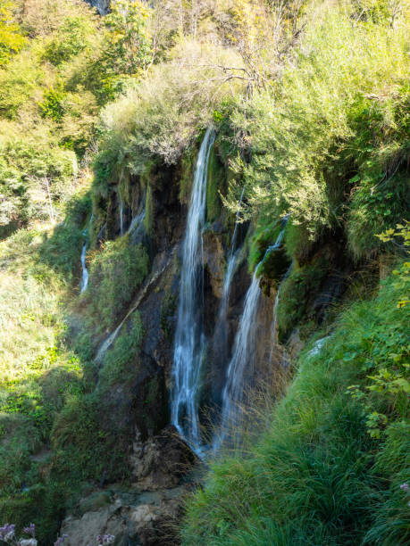 istock Plitvice Lakes National Park in Croatia 1189203454