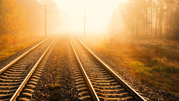 istock Railway in autumn blurred forest at dawn 1189204511