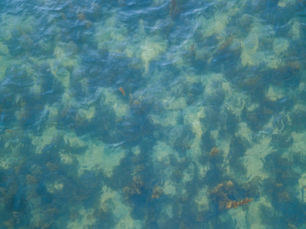 istock Stony bottom under greenish transparent water 1189205069