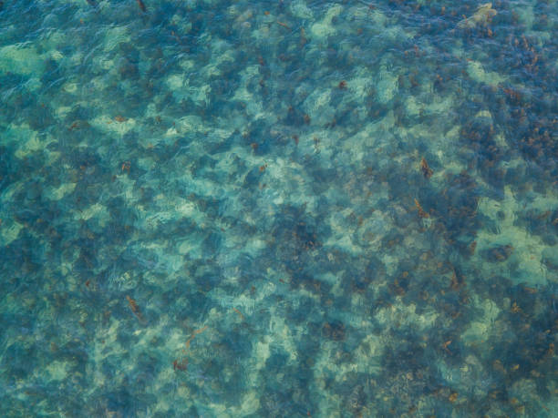istock Stony bottom under greenish transparent water 1189205161