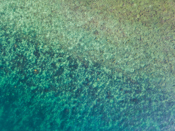 istock Stony bottom under greenish transparent water 1189205290