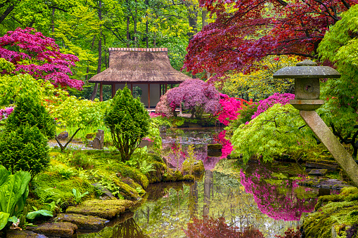 Travel Concepts. Amazing Picturesque Scenery of Japanese Garden with Asian Zen Sculptures  on Background in the Hague (Den Haag) in the Netherlands Straight After the Rain. Horizontal Shot