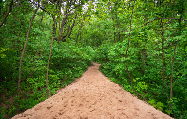 Indiana Dunes National Park on the Greet Lakes