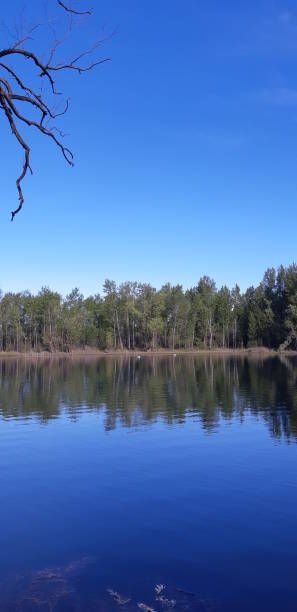 Landscape in Argentine Patagonia