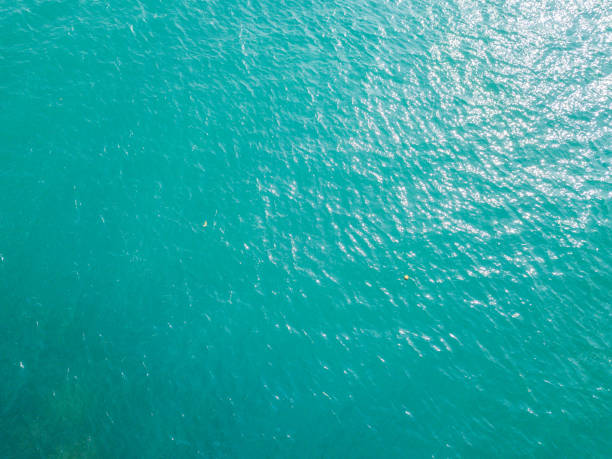 istock Aerial view of turquoise waves, water surface texture 1189208730