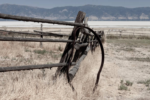 istock Remains of the farm 1189208777