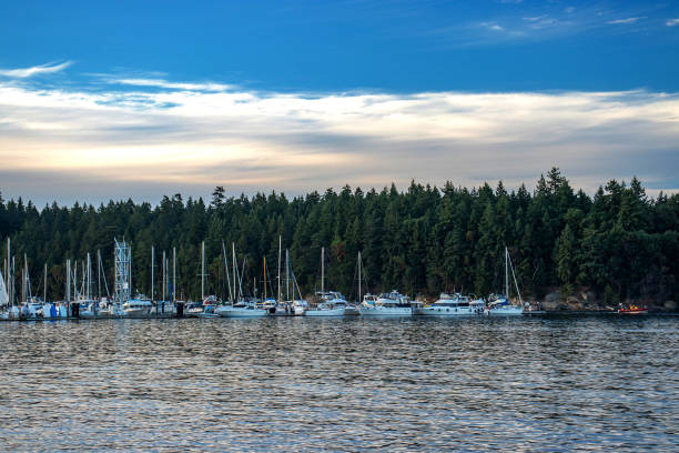 istock The Nanaimo marina at dusk, BC, Canada 1189213393