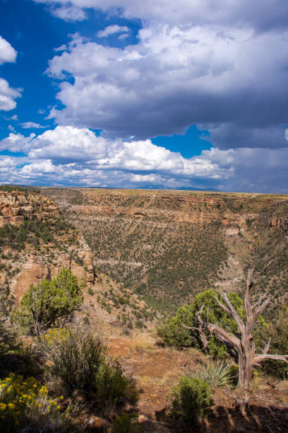 istock Mesa Verde National Park - Balcony House Canyon Vertical View 1189214669