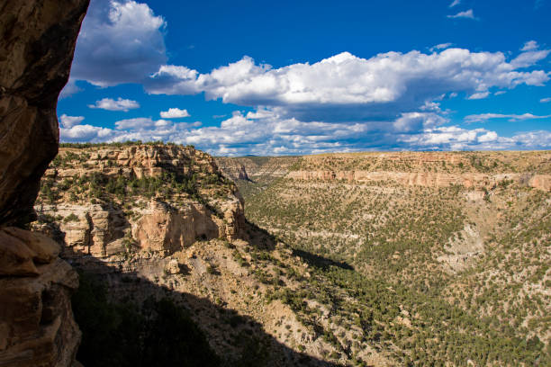 nature in Colorado
