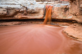 Pool of muddy red water at the beginning of a flash flood in southern Utah.