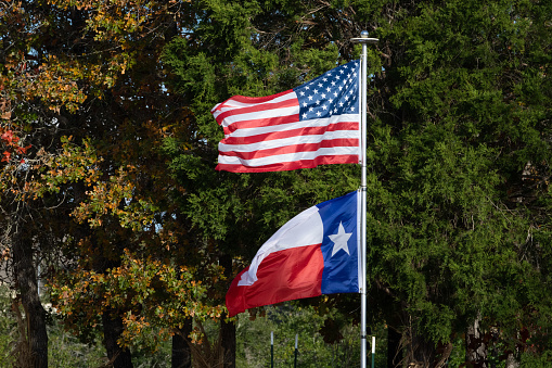 Flags of US and Texas