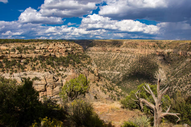 istock Mesa Verde National Park - Balcony House Canyon Horizontal View 1189216113
