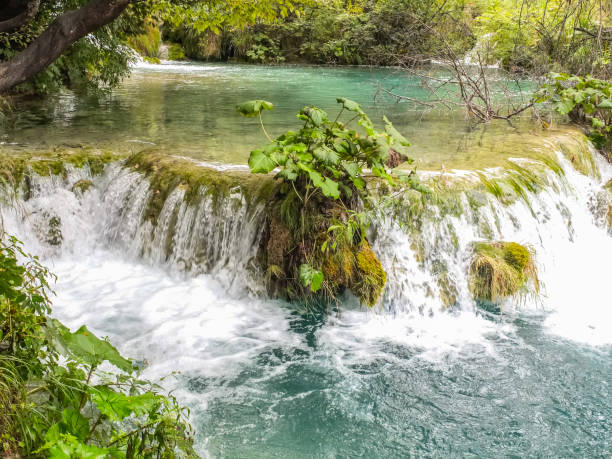 istock Small waterfall in Plitvice Lakes National Park 1189217313