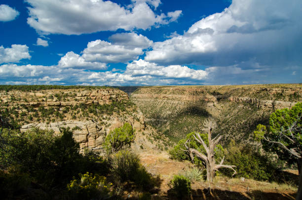istock Mesa Verde National Park - Balcony House Canyon Wide View 1189217314