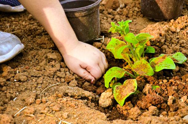 istock Kid planting flower 1189218170