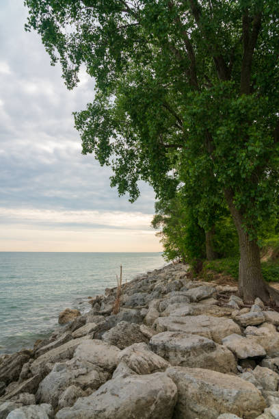 istock Coastline at Indiana Dunes National Park 1189219571
