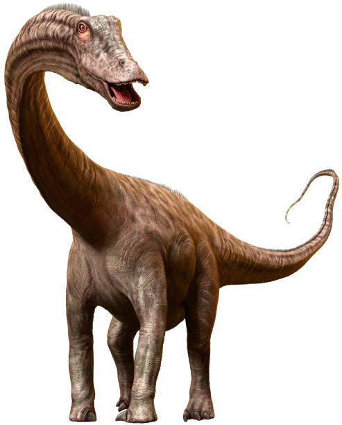 istock Diplodocus dinosaur from the Jurassic era 3D illustration 1189221561