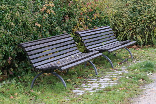 istock Autumn in the park 1189221767