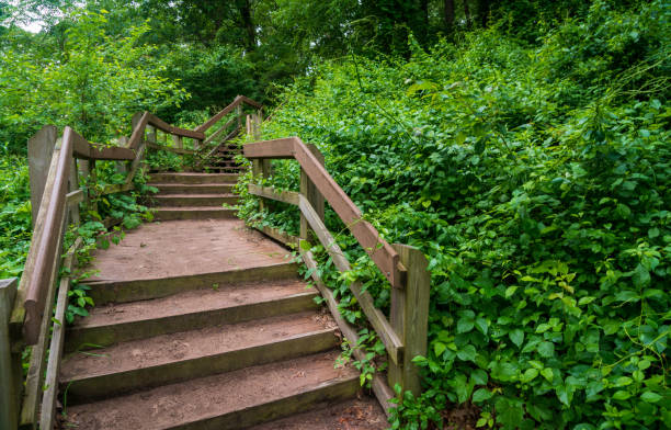 istock Trails at Indiana Dunes National Park 1189224875